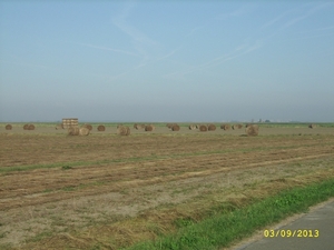zuienkerke 2013 009
