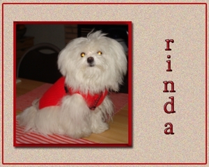 Untitled-1.psd8 copy