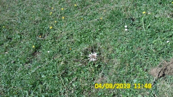 SAM_0456