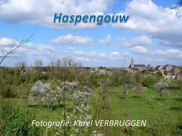 Haspengouw