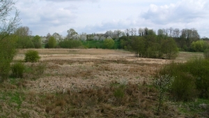 P1340974