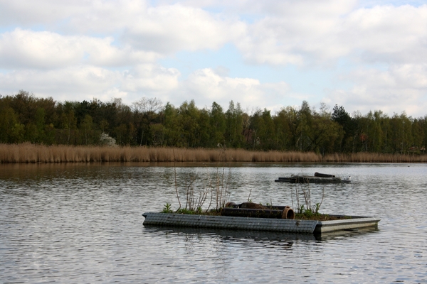 goor 2013 sterneilanden 004