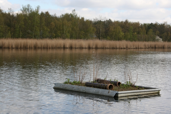 goor 2013 sterneilanden 005