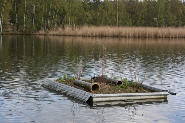 goor 2013 sterneilanden 006