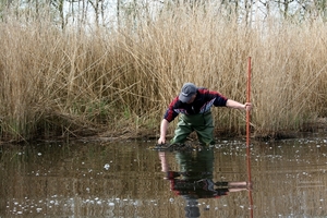 goor 2013 sterneilanden 014