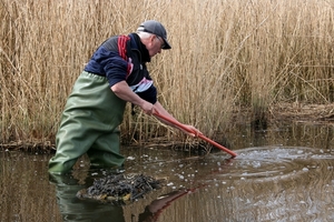 goor 2013 sterneilanden 015