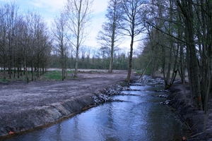 goor 2013 sterneilanden 029