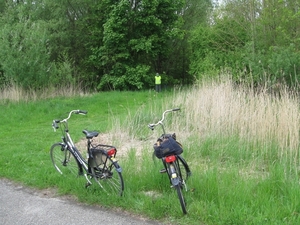 Frieslbunt13 178