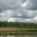 DSCN0028