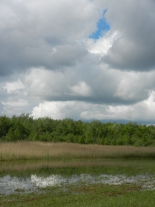 DSCN0028