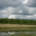 DSCN0029