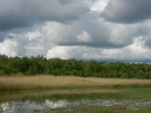 DSCN0029