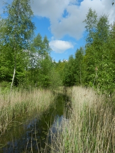 DSCN0032