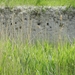 DSCN0034