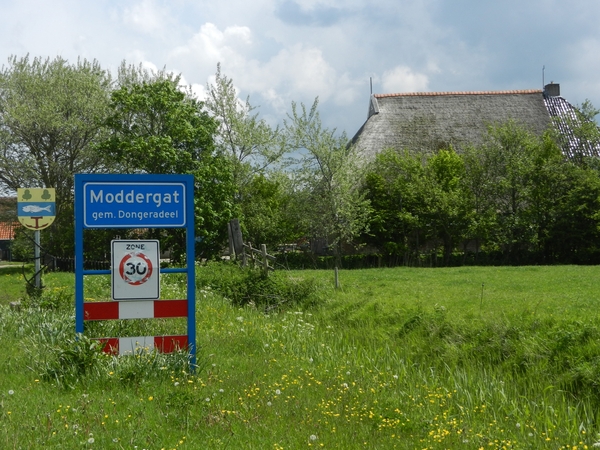 DSCN0049