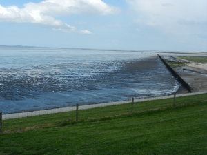 DSCN0062