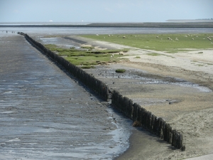 DSCN0066
