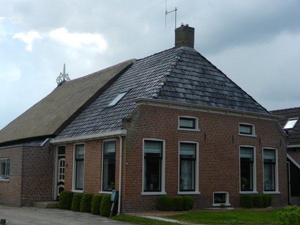 DSCN0116