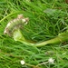 DSCN0386