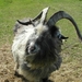 Reis Friesland 003