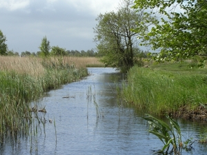 Reis Friesland 006