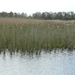 Reis Friesland 007