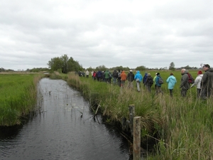 Reis Friesland 008