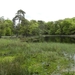 Reis Friesland 037