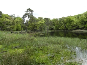 Reis Friesland 037