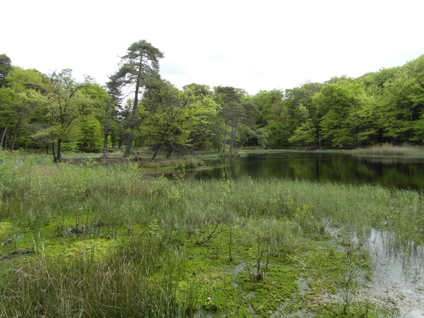 Reis Friesland 037