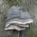 Reis Friesland 040