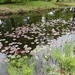Reis Friesland 050