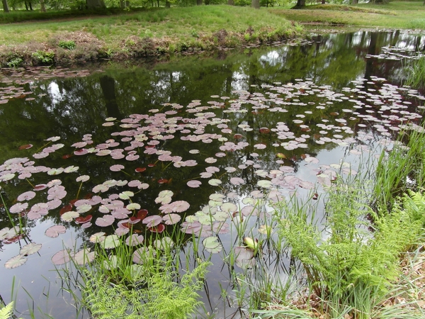 Reis Friesland 050