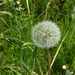 Reis Friesland 068