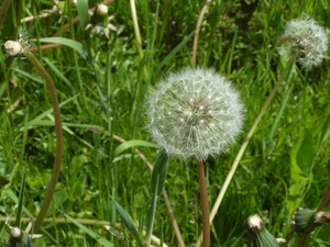 Reis Friesland 068