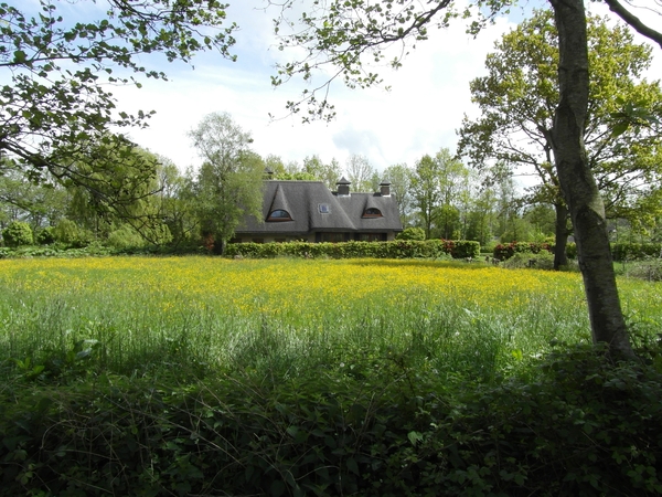 Reis Friesland 070