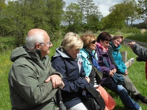 Reis Friesland 076