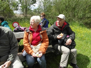 Reis Friesland 079