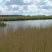 Reis Friesland 098