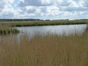 Reis Friesland 098