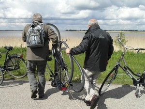 Reis Friesland 100