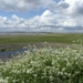 Reis Friesland 102