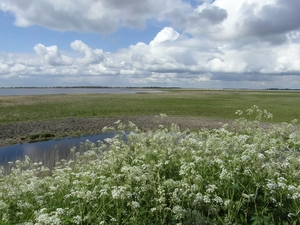 Reis Friesland 102