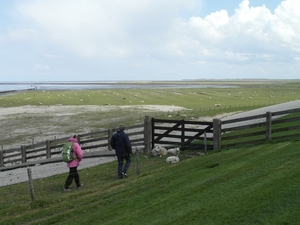 Reis Friesland 107