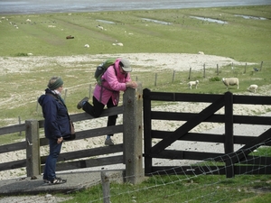 Reis Friesland 108