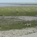 Reis Friesland 109