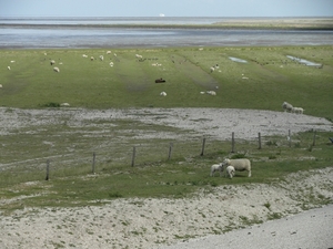 Reis Friesland 109