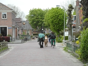 Reis Friesland 127