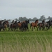 Reis Friesland 131
