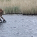 Friesland  Bunt 22-26-mei 2013 027
